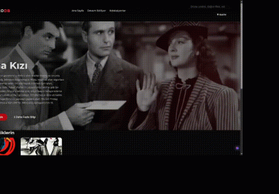 homeVideoDB – Stream Your Local Collection